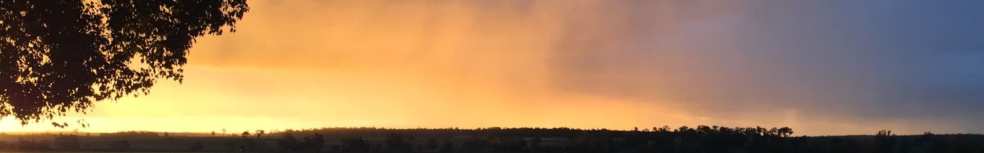 Header Image